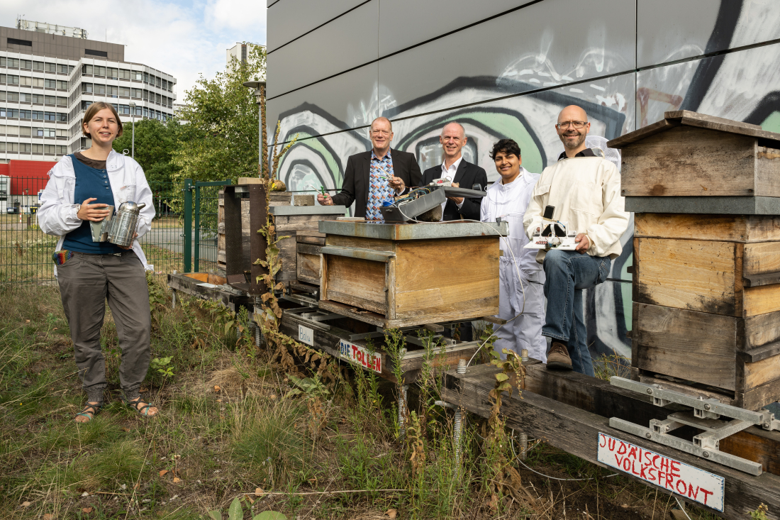 Menschen und Bienen