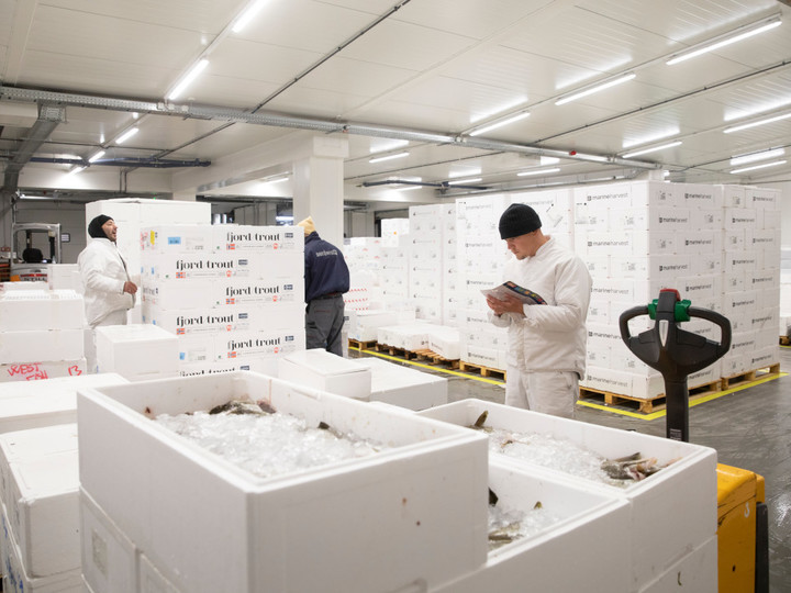 Arbeiter in Schutzanzügen in der Lagerhalle